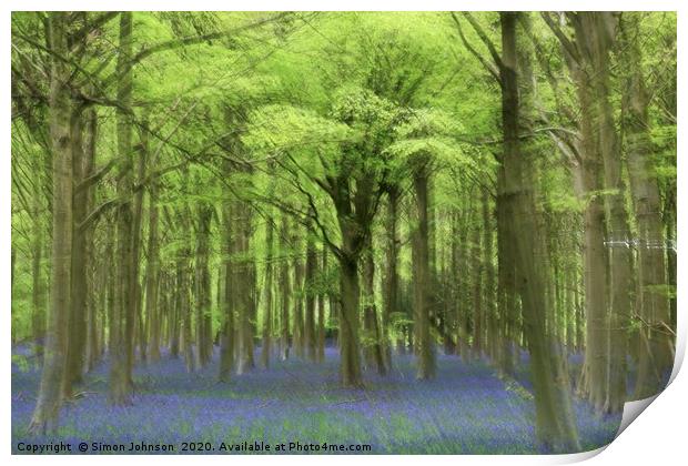 Bluebell Wood Print by Simon Johnson