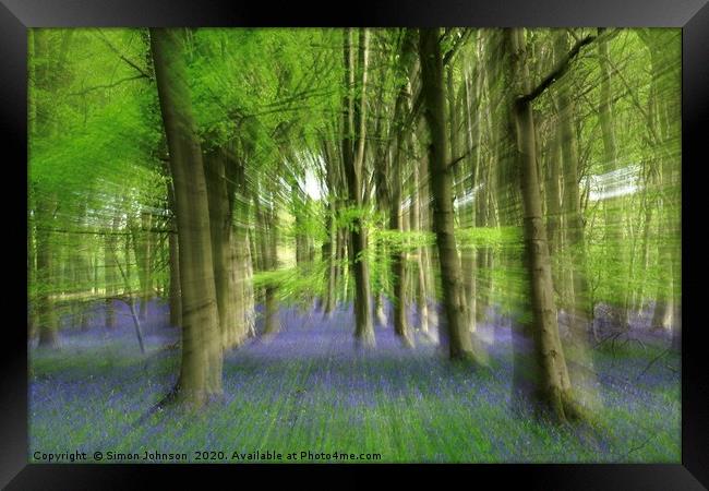  Impressionist image of Bluebell woodland Framed Print by Simon Johnson