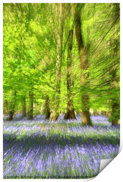 Bluebell Woodland Impressionist image Print by Simon Johnson