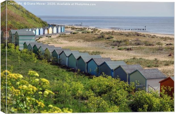 Pakefield Beach Huts Suffolk Canvas Print by Diana Mower