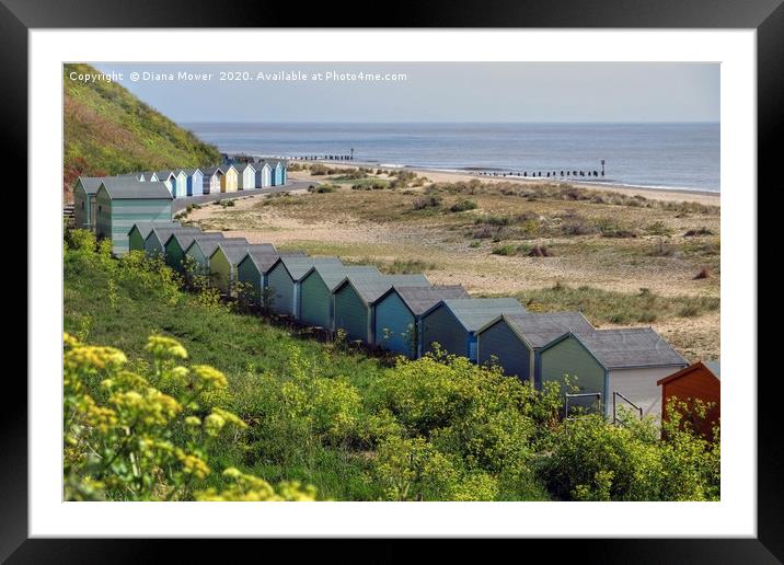 Pakefield Beach Huts Suffolk Framed Mounted Print by Diana Mower