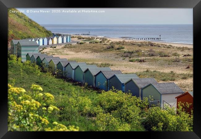 Pakefield Beach Huts Suffolk Framed Print by Diana Mower