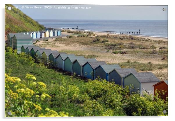 Pakefield Beach Huts Suffolk Acrylic by Diana Mower