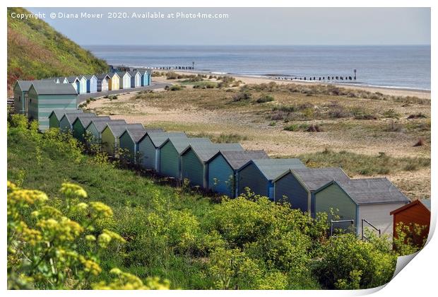 Pakefield Beach Huts Suffolk Print by Diana Mower
