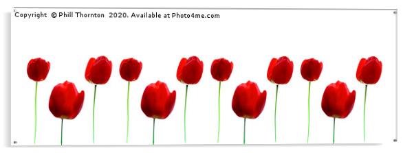 Three Red Tulips on white, repeated pattern. Acrylic by Phill Thornton