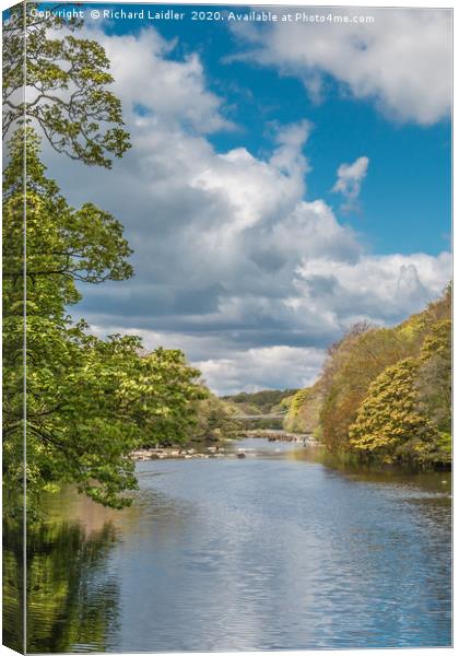 Towards Whorlton Bridge from Wycliffe Teesdale Canvas Print by Richard Laidler
