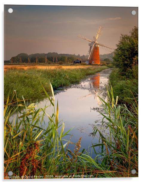 Dawn reflections of Horsey Mill Norfolk Acrylic by David Powley