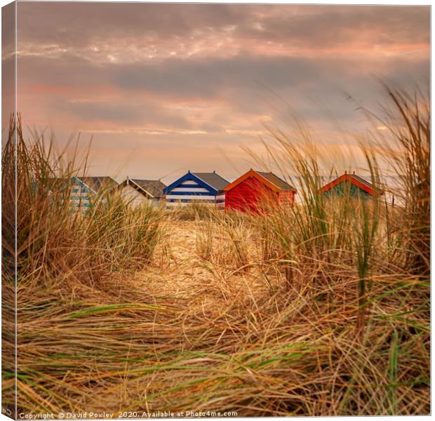 Southwold Beach huts at dawn Suffolk Canvas Print by David Powley