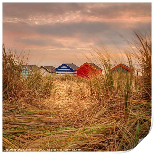 Southwold Beach huts at dawn Suffolk Print by David Powley