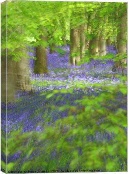 Bluebells and Beech leaves Canvas Print by Simon Johnson