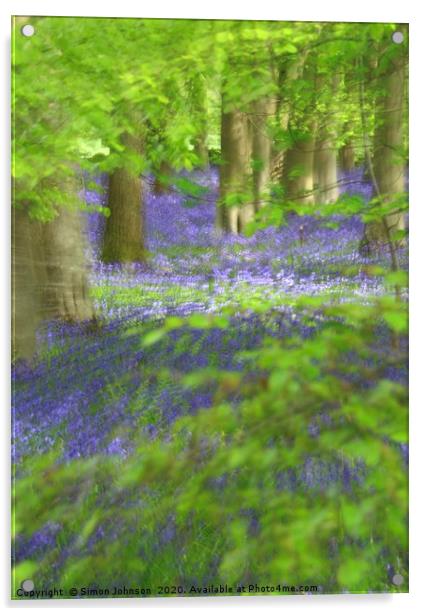 Bluebells and Beech leaves Acrylic by Simon Johnson