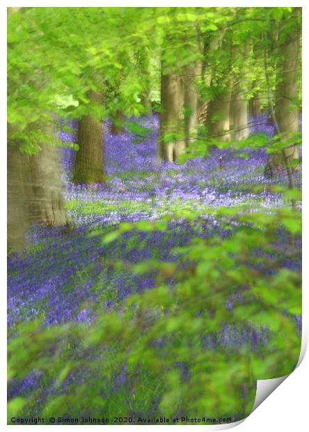 Bluebells and Beech leaves Print by Simon Johnson