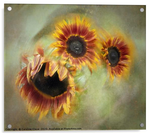 Sunflowers In A Spin Acrylic by Caroline Claye