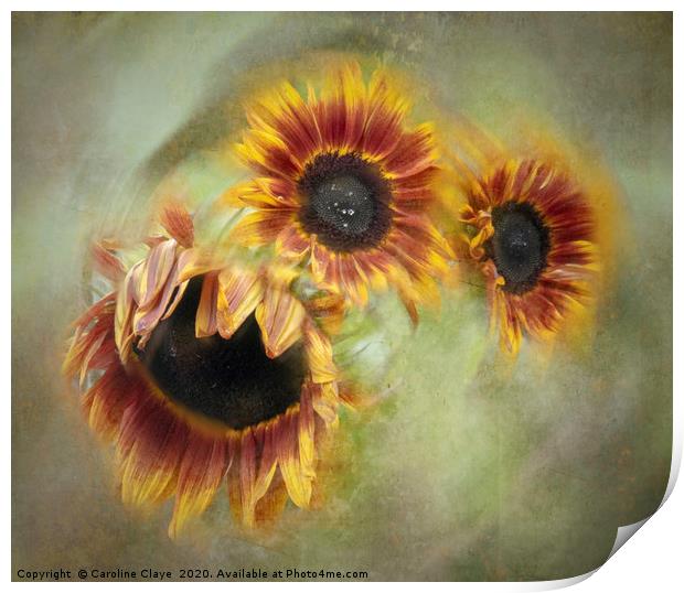 Sunflowers In A Spin Print by Caroline Claye