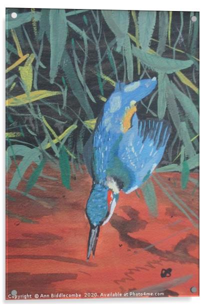 Fishing Kingfisher Acrylic by Ann Biddlecombe