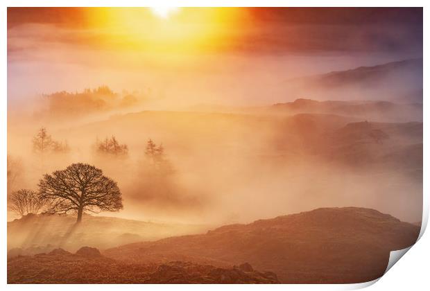 Loughrigg Fell sunrise. Lake District.  Print by John Finney