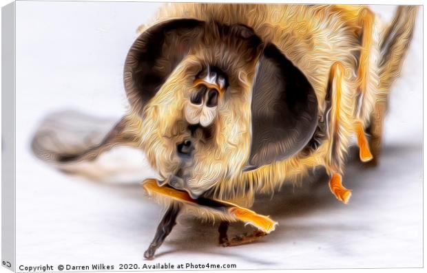 Honey Bee  Canvas Print by Darren Wilkes