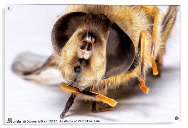 Honey Bee  Acrylic by Darren Wilkes