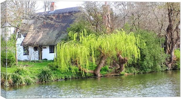 Cottage by the river  Canvas Print by Anthony Byrne