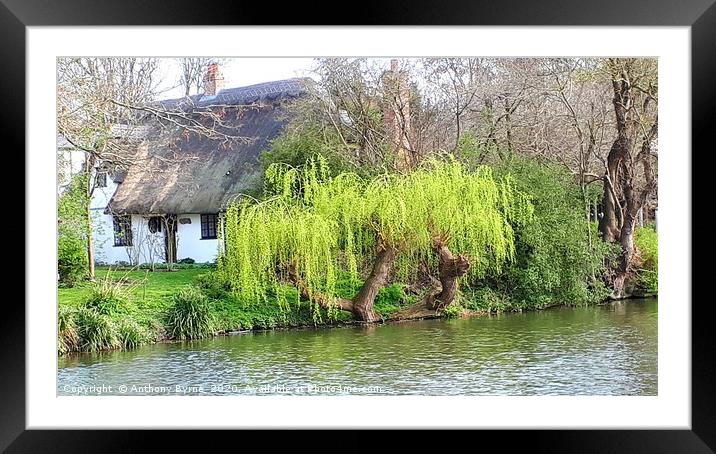 Cottage by the river  Framed Mounted Print by Anthony Byrne
