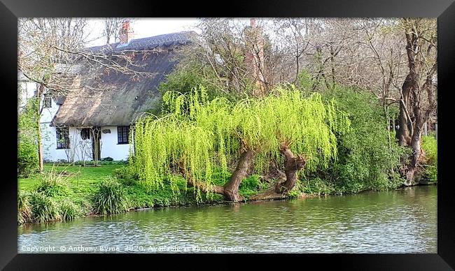 Cottage by the river  Framed Print by Anthony Byrne
