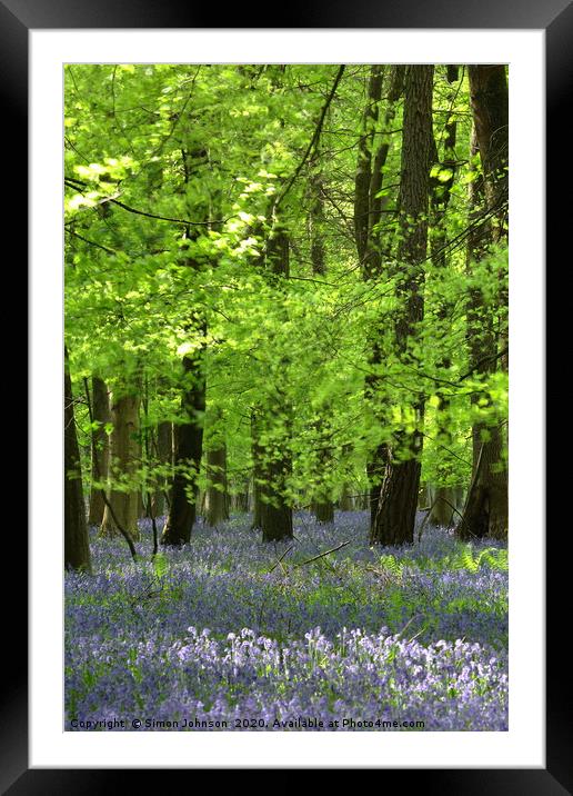 Bluebells and Beech Leaves Framed Mounted Print by Simon Johnson