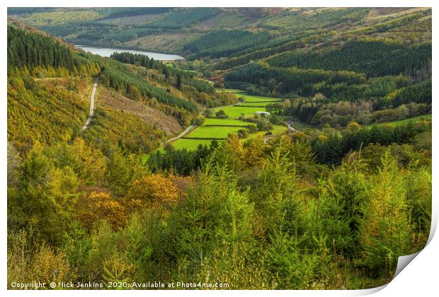 The Upper Talybont Valley Brecon Beacons in Autumn Print by Nick Jenkins