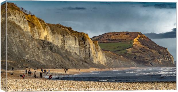 Charmouth to Golden Cap Canvas Print by Philip Hodges aFIAP ,