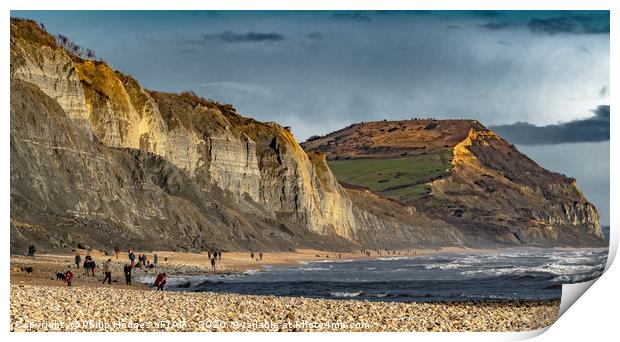 Charmouth to Golden Cap Print by Philip Hodges aFIAP ,