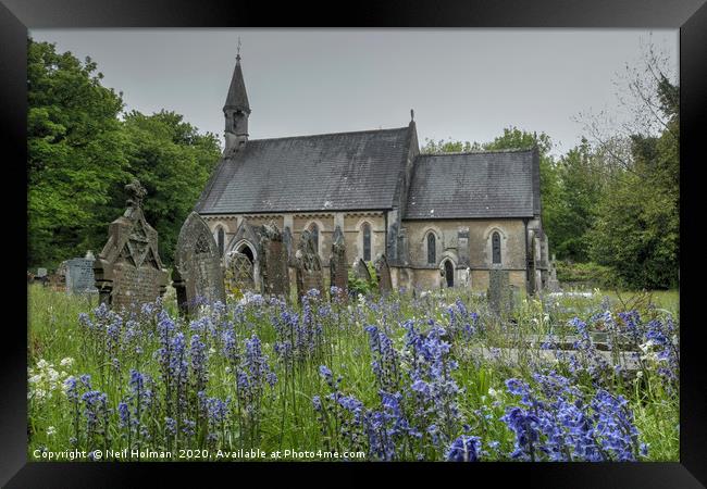Bluebells at St Teilo’s Church, Merthyr Mawr Framed Print by Neil Holman