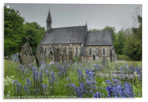 Bluebells at St Teilo’s Church, Merthyr Mawr Acrylic by Neil Holman