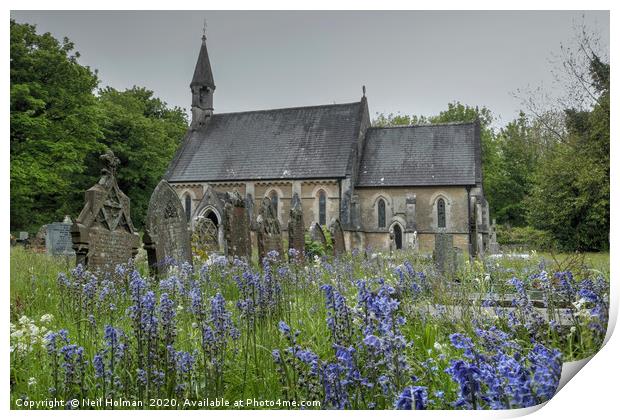Bluebells at St Teilo’s Church, Merthyr Mawr Print by Neil Holman