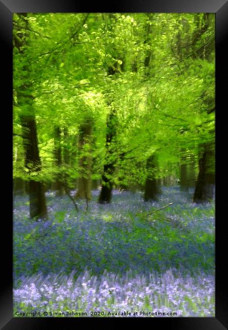 Bluebell woodland Framed Print by Simon Johnson