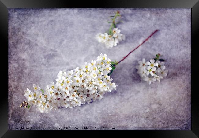 Spring Never Fails Framed Print by Randi Grace Nilsberg