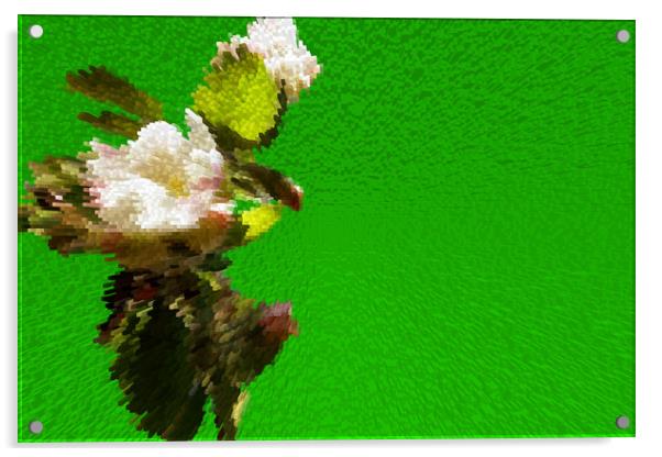                       Apple blossoms on the pictur Acrylic by liviu iordache