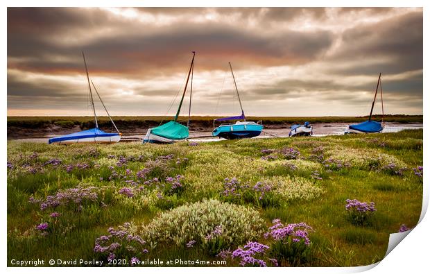 Sea Lavender and boats at Blakeney Print by David Powley
