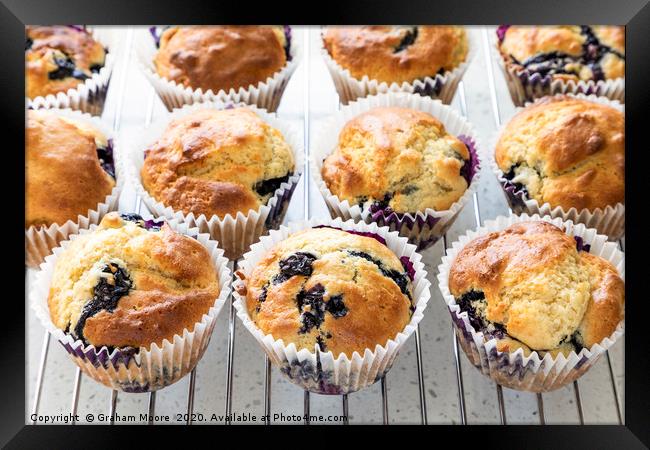 Fresh home baked blueberry muffins Framed Print by Graham Moore