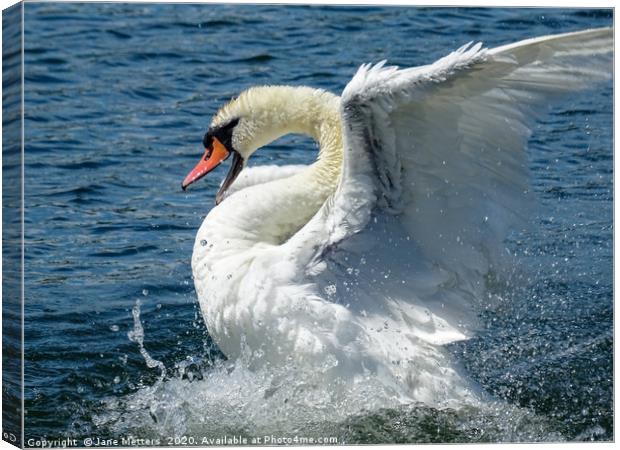 Splashing about on the Lake Canvas Print by Jane Metters