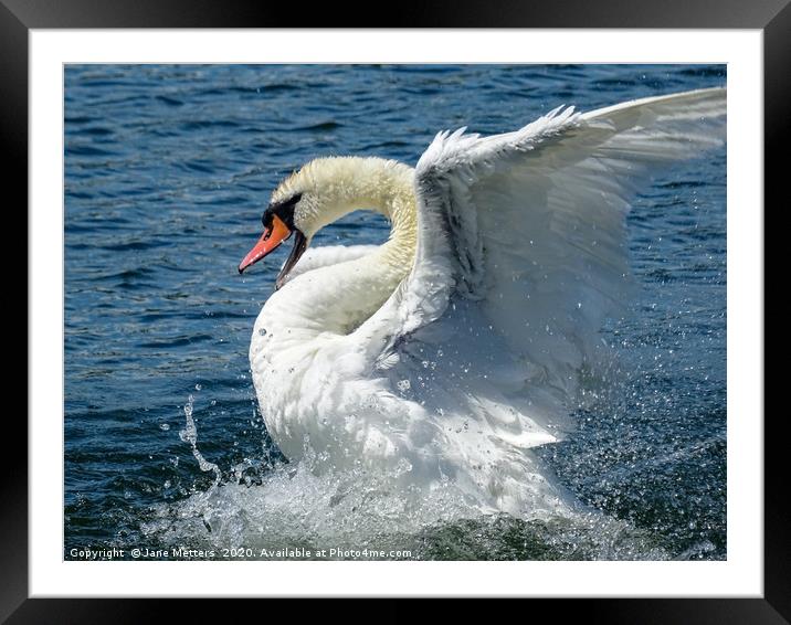 Splashing about on the Lake Framed Mounted Print by Jane Metters