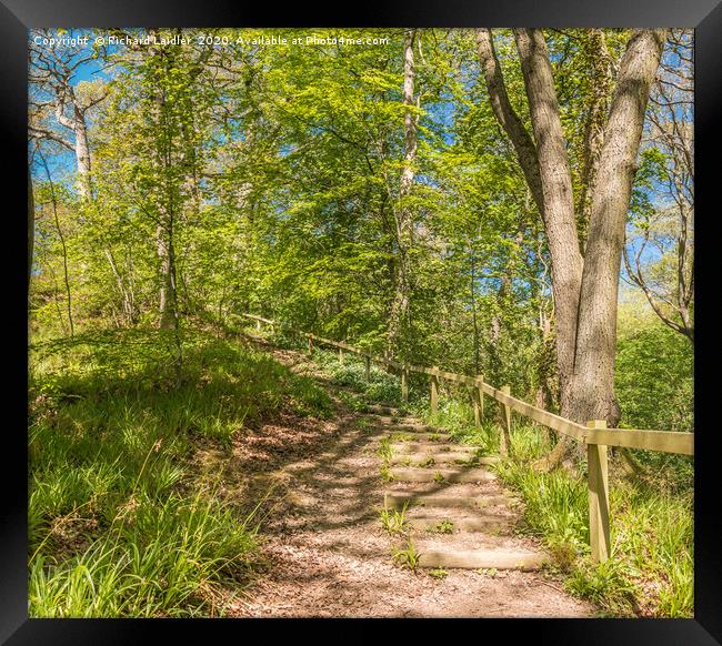 Stairway Through The Woods in Spring Framed Print by Richard Laidler