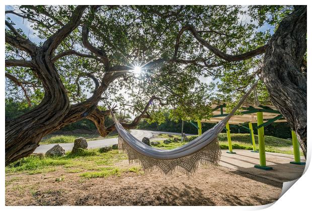 Handmade hammock at  the beach  Print by Gail Johnson