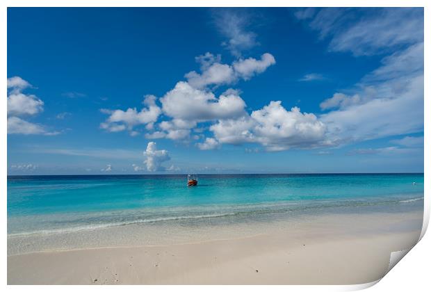 Beach Views around the small Caribbean island of C Print by Gail Johnson