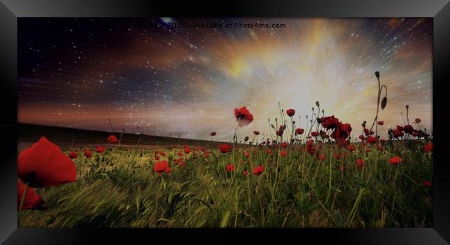 Poppy Fields Framed Print by Tony Williams. Photography email tony-williams53@sky.com