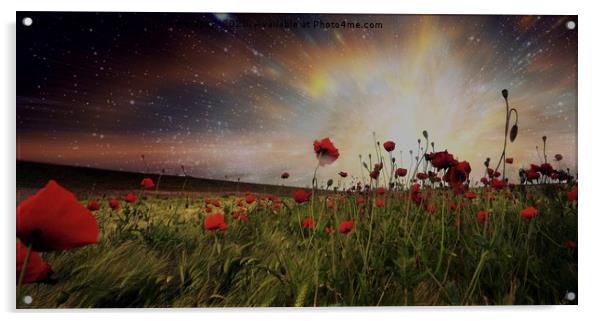 Poppy Fields Acrylic by Tony Williams. Photography email tony-williams53@sky.com