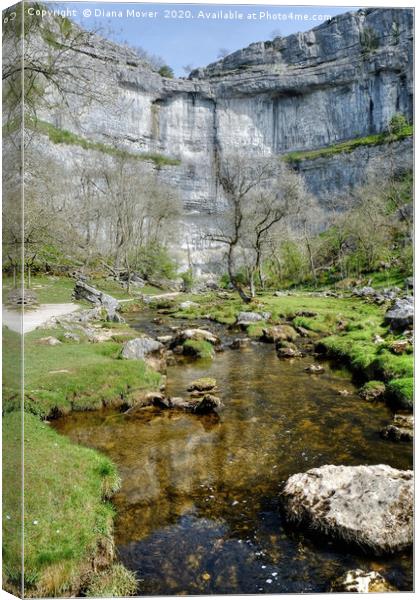 Malham Cove Yorkshire Dales Canvas Print by Diana Mower