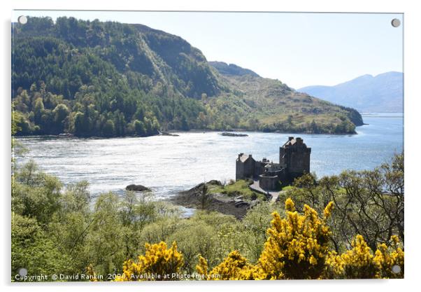 Eilean Donan Castle on a summer afternoon  in the  Acrylic by Photogold Prints