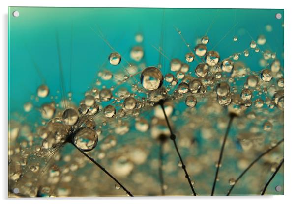 Turquoise Dandelion Drops Acrylic by Sharon Johnstone
