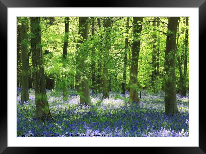 Bluebell wood Framed Mounted Print by Simon Johnson