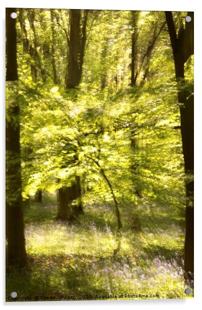 Sunlit Beech Tree Acrylic by Simon Johnson