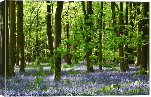 Bluebell Woodland Canvas Print by Simon Johnson